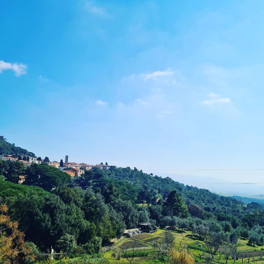 Casa Vacanze Le Rose Villa Gabbro Eksteriør bilde